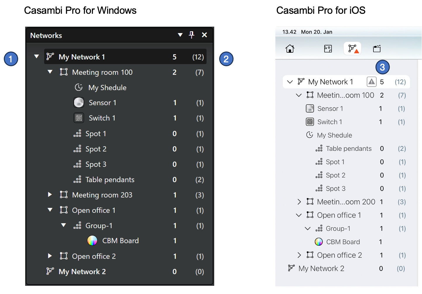 Network listings in Casambi Pro user interfaces